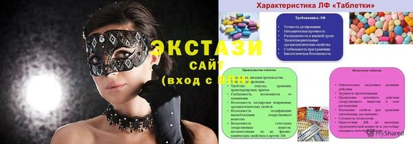 гидра Вяземский