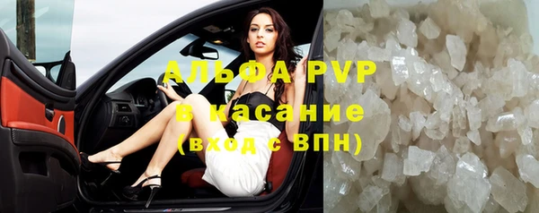 гидра Вяземский