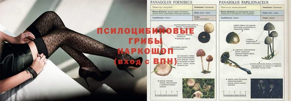 МДМА Вязьма