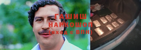 гидра Вяземский
