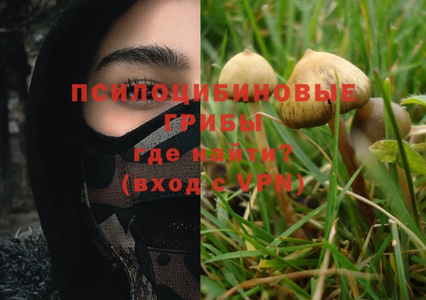 винт Тында