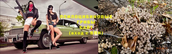 таблы Горнозаводск