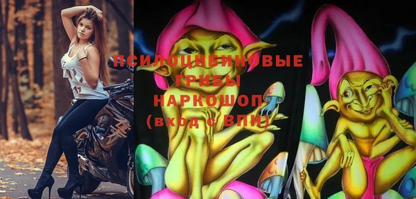бошки Тутаев