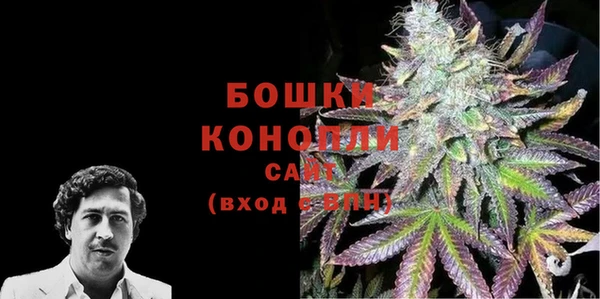 гидра Вяземский