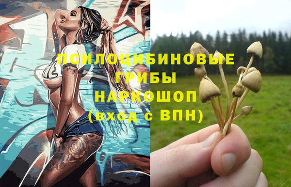 СК Володарск