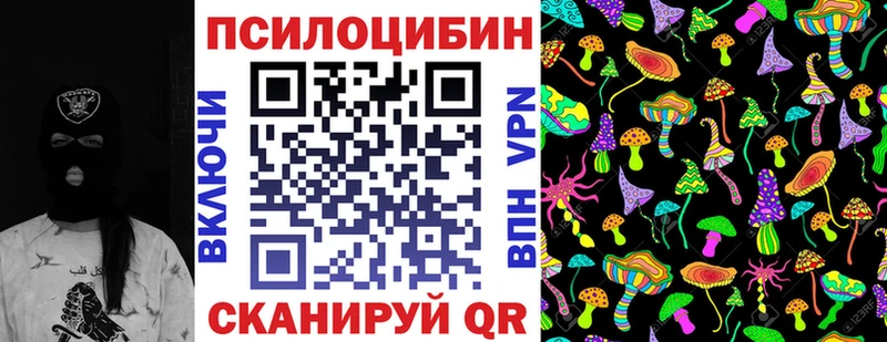 ОМГ ОМГ ссылки  купить наркотики цена  Дигора  Галлюциногенные грибы ЛСД 